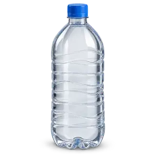 1 L water bottle