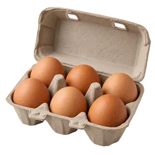 6 egg pack