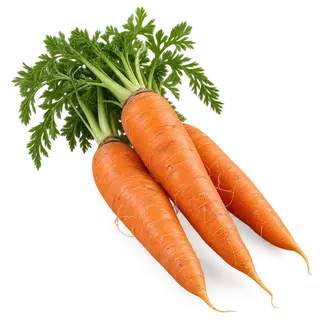 Carrot