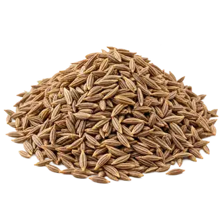 Cumin seeds