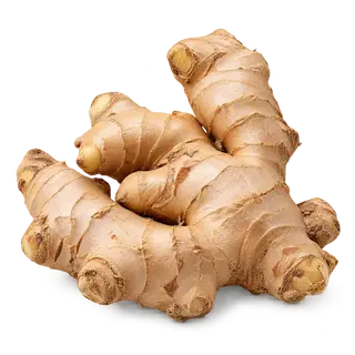 Ginger