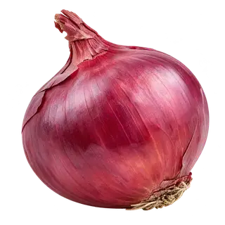 Onion