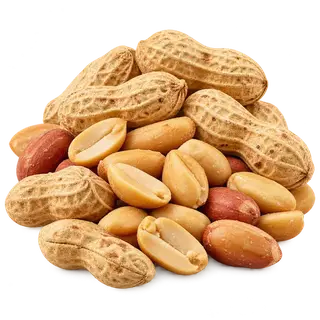 Peanuts