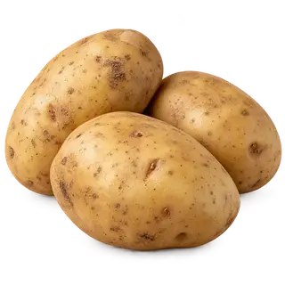 Potato