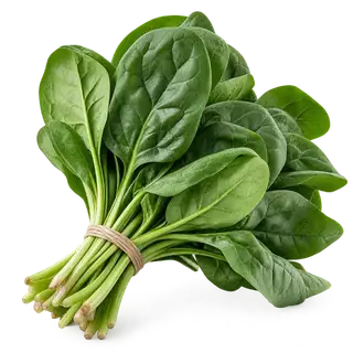 Spinach