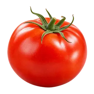 Tomato