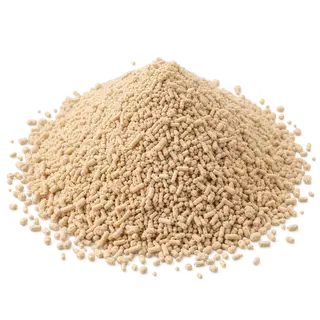 Yeast