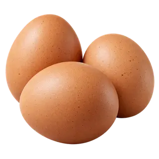 Fresh eggs