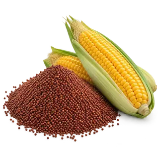 Other grains