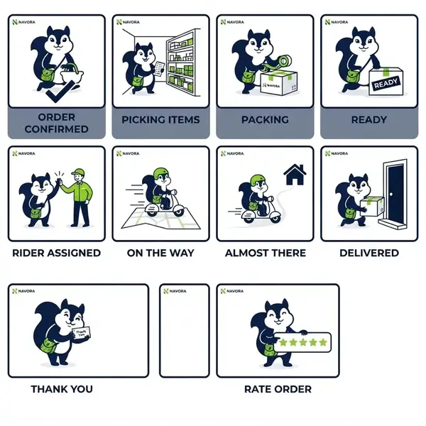 Navora squirrel mascot: order status illustrations
